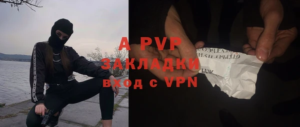 каннабис Богданович