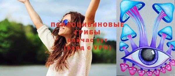 дмт Белокуриха