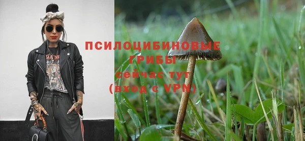 дмт Белокуриха