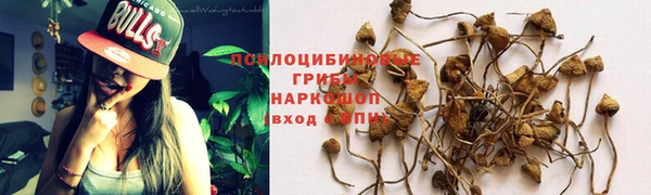 тгк Беломорск